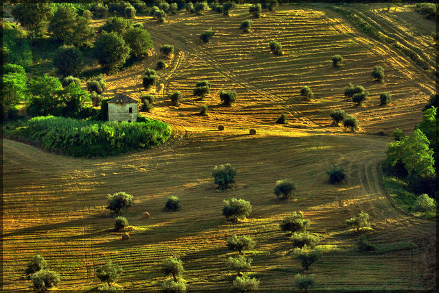 IMU agricola: il TAR assegna i compiti alla Presidenza del Consiglio, al MEF, all'ISTAT e ai Comuni