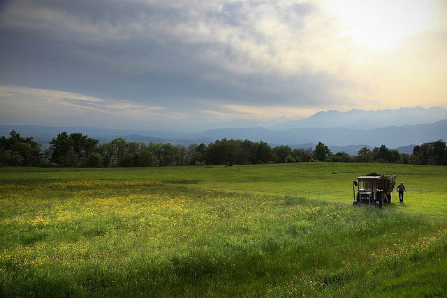 Agricoltura: in arrivo 160 milioni per il piano giovani