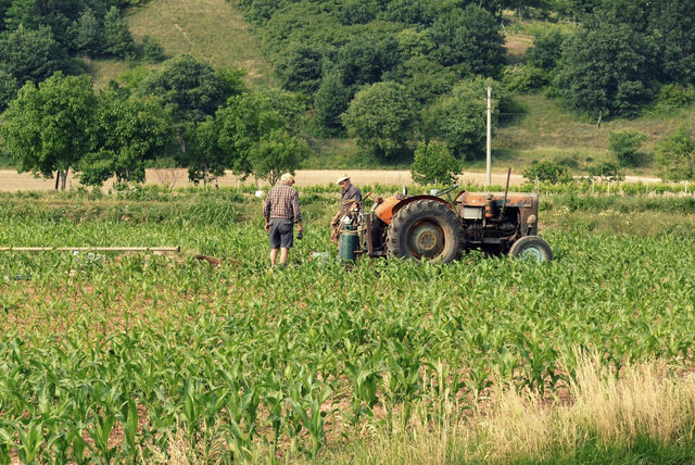 Regione Basilicata: un 