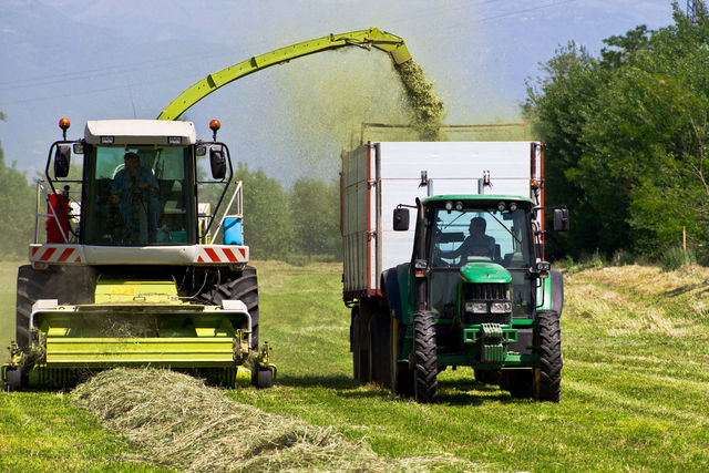 Rete agricola di qualità per il lavoro